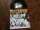 INSECT WARFARE - ENDLESS EXECUTION THRU VIOLENT RESTITUTION - 7 INCH