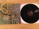 Circle Takes the Square - As the Roots Undo LP - Vinyl RARE Screamo emo 12
