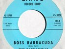 hear: BARRACUDAS on Canjo M- surf