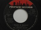 Funk 45 - Jackson Sisters - I Believe In Miracles - Prophesy - mp3 - breaks