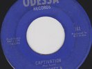 RARE R&B MOD SOUL DANCER Roy Scott-Captivation HEAR IT