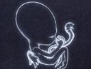 SIGUR ROS Agaetis Byrjun Record 2013 RSD Only 1000  RARE SEALED + SHABAZ PALACES