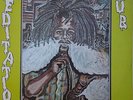 LP / THE MERCENARIES / MEDITATION DUB