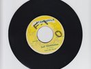 STAR APPLE/SOUL CONSTITUTION  - DIZZY MOORE &  FAMILY MAN BARRETT ( INST. 7