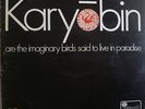 SPONTANEOUS MUSIC ENSEMBLE Karyobin BAILEY/PARKER/STEVENS/WHEELER Pink Island