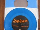 SOUNDGARDEN / HUNTED DOWN / 7
