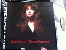 KATE BUSH NEVER FOREVER BOOK? / PROGRAMME? UFO BOOKS BATS & DOVES PART II