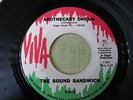 THE SOUND SANDWICH (Viva) - Rare 60's USA Psych Garage 45 