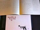 Magnolia Electric Co Trials & Errors LIVE 2x LP Record Vinyl OOP songs ohia