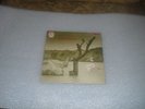 TONTON MACOUTE RCA NEON GATEFOLD BLACK INNER LP THEIR ONLY ALBUM
