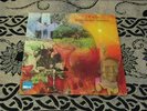 J.K. & CO. LP Suddenly One Summer RARE ORIG '69 WHITE WHALE ACID PSYCHE