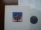 TALK TALK - LAUGHING STOCK - ORIGINAL 1991 - NEAR MINT