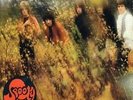 SPOOKY TOOTH - 