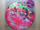 YEAH YEAH YEAHS Fever to Tell PICTURE DISC USA LP vinyl album 