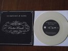 Mumford and Sons - Winter Winds 7