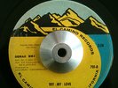 Troy Dodds - Try My Love / The Real Thing - El Camino Popcorn Northern Soul 45