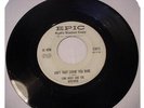RARE LINK WRAY PROMO 45 MARY ANN / AIN'T THAT LOVIN' YOU BABE EPIC 5-9419