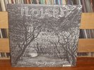 ILDJARN-Forest Poetry 2-10