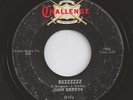 JIMMY GORDON buzzzzzz HEAR 60s GARAGE beat ROCK N ROLL instro