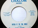 Panic Button 45 RPM on Chalom 1969 (Funk) Hear it
