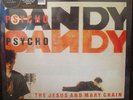 JESUS AND MARY CHAIN PSYCHO CANDY LP SPLATTER BLACK RED RECORD STORE DAY SEALED