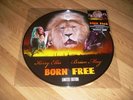 Brian May (Queen) + Kerry Ellis - Born Free RARE 12