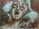 DISASTROUS MURMUR-RHAPSODIES IN RED 12