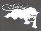 Soledad Brothers Sugar & Spice / Johnny's Death Letter ORIGINAL ITALY JACK WHITE
