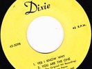 ROCKABILLY 45 RPM - LEON PAYNE on DIXIE