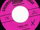 GARAGE  45RPM - THE PLAYTHINGS on SHERWOOD RECORDS(1)