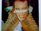 ADAM ANT KINGS OF THE WILD FRONTIER PROMO SIGNED BY THE BAND RECORD LP