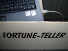 Fortune Teller - Inner City Scream RMT original 500 press (few exist)