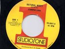 Jennifer Lara NATURAL MISTY & NATURAL MISTY Version Brentford All Stars  LISTEN