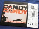 THE JESUS AND MARY CHAIN PSYCHOCANDY ORIGINAL A1 LAMINATED SLEEVE LP
