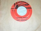 OBSCURE 45,  THEE MIDNITERS.  CHICANO POWER  /  COULD IT BE.