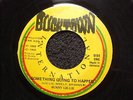 SOMETHING GOING TO HAPPEN  /  BUNNY  LIE  LIE  /  orig  BUCKTOWN  7 in  1980