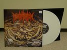 Mortification - Scrolls of the Megilloth LP Morbid Angel Immolation Deicide
