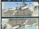 WIDESPREAD PANIC: Space Wrangler,  Landslide, LD-1016 NM/NM *w/ orig. insert*