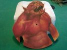 Picture Disc Vinyl  Metallica Jump in the fire/Phantom Lord shaped Samml.auflös.