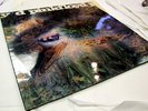 Pink Floyd Saucerful of Secrets UK LP: Excellent Sleeve Excellent Vinyl & audio