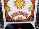 -ANDROMEDA - ECLIPSE RECORDS 88 1969-DISCHI VINILE 33 GIRI 12