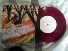Basement SATW /150 More Than Life Daylight Last Witness Title Fight BWP UKHC