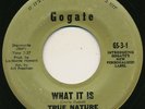 TRUE NATURE on Gogate --WHAT IT IS-- northern soul / sweet soul 45 | RARE LISTEN
