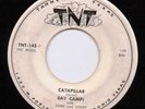 ROCKABILLY --RAY CAMPI--