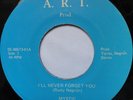 Rare Unknown Sweet Soul 45 - Mystic ''I'll Never Forget You'' A.R.T mp3 Private