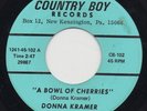 DONNA KRAMER A Bowl Of Cherries OBSCURE ODDBALL GARAGE/REAL PEOPLE 45 Listen