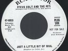 STEVE COLT & 45'S: Just A Little Bit Of Soul / So Far Away 45 (dj) Soul