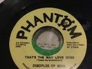 RARE SWEET SOUL / NORTHERN.....DISCIPLES OF SOUL ( PHANTOM)