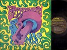 PSYCH LP The Sacred Mushroom S/T on PARALLAX rare ORIG private