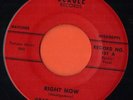 TOP SHELF BEAGLE ROCKABILLY BOP / ROCKER - GRAY MONTGOMERY - RIGHT NOW  HEAR